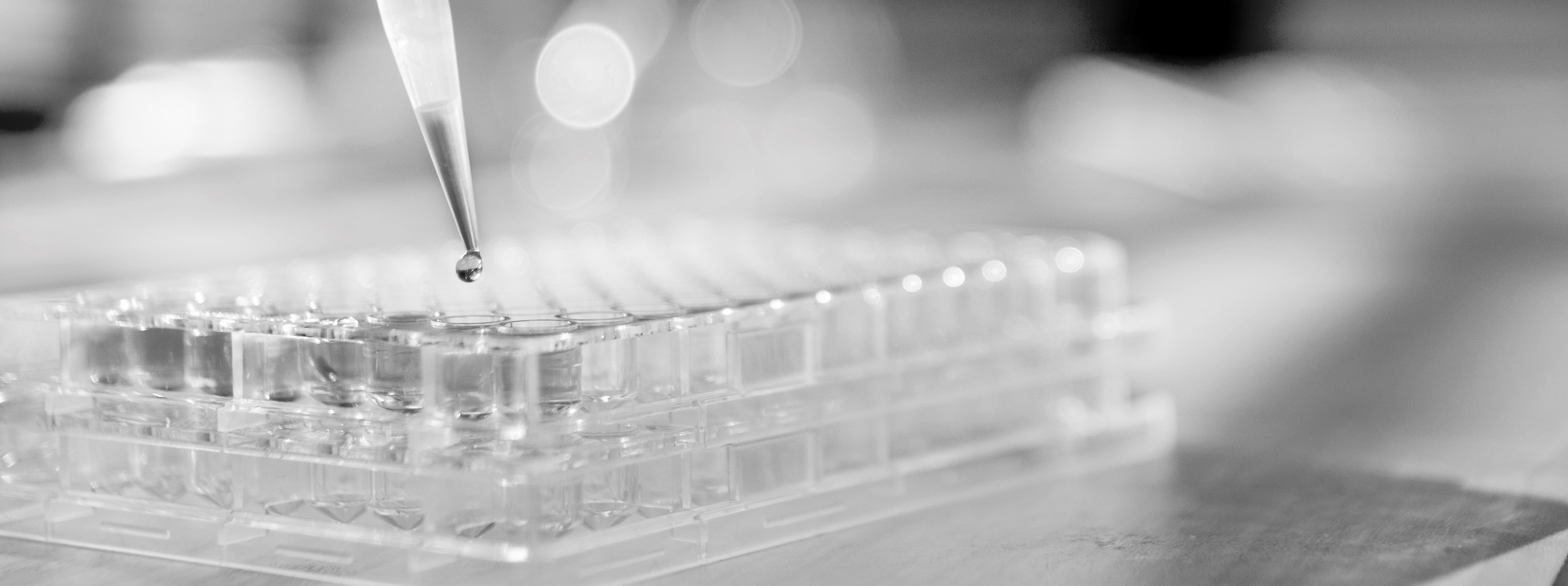 Close-up of a dropper taking a sample from a test tube